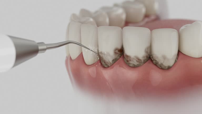 Reliable Dental contractor in Daphne, AL by Dentist Open Now